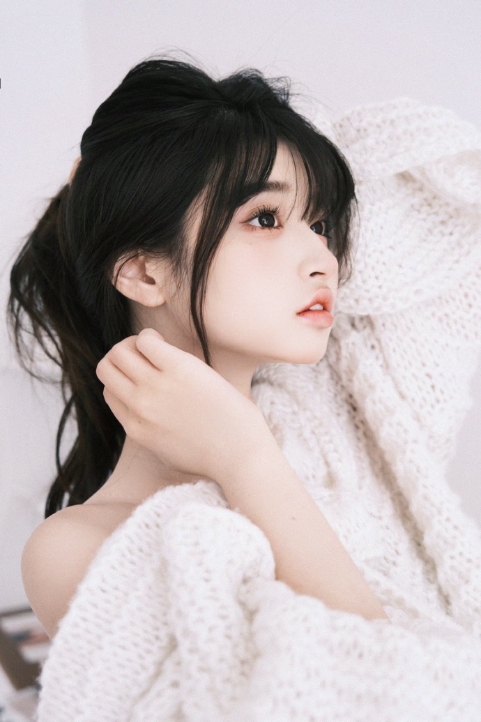 甄嬛传 封面